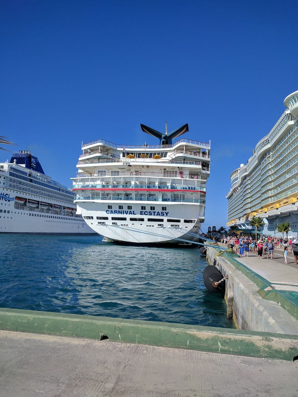 Фото Carnival Ecstasy