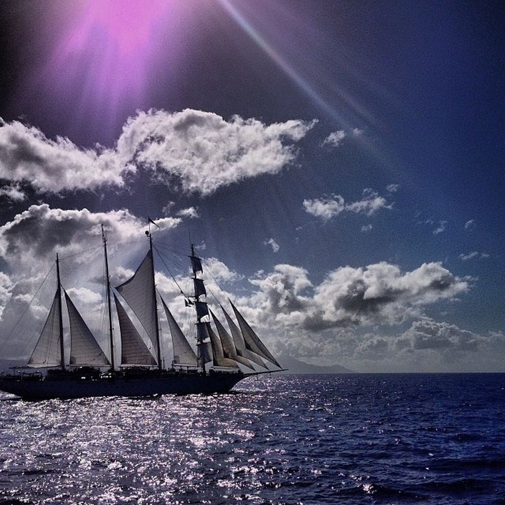 Фото Star Clipper