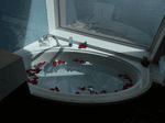 Сьют The Haven Penthouse: категория H6